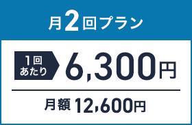 月2回プラン