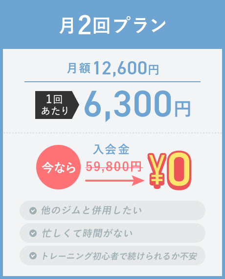 月2回プラン
